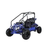 Taotao GK110 Kids Gas Go Kart Dune Buggys. 4 Taotao GK110 Kids Gas Go Kart Dune Buggys. - Image 4
