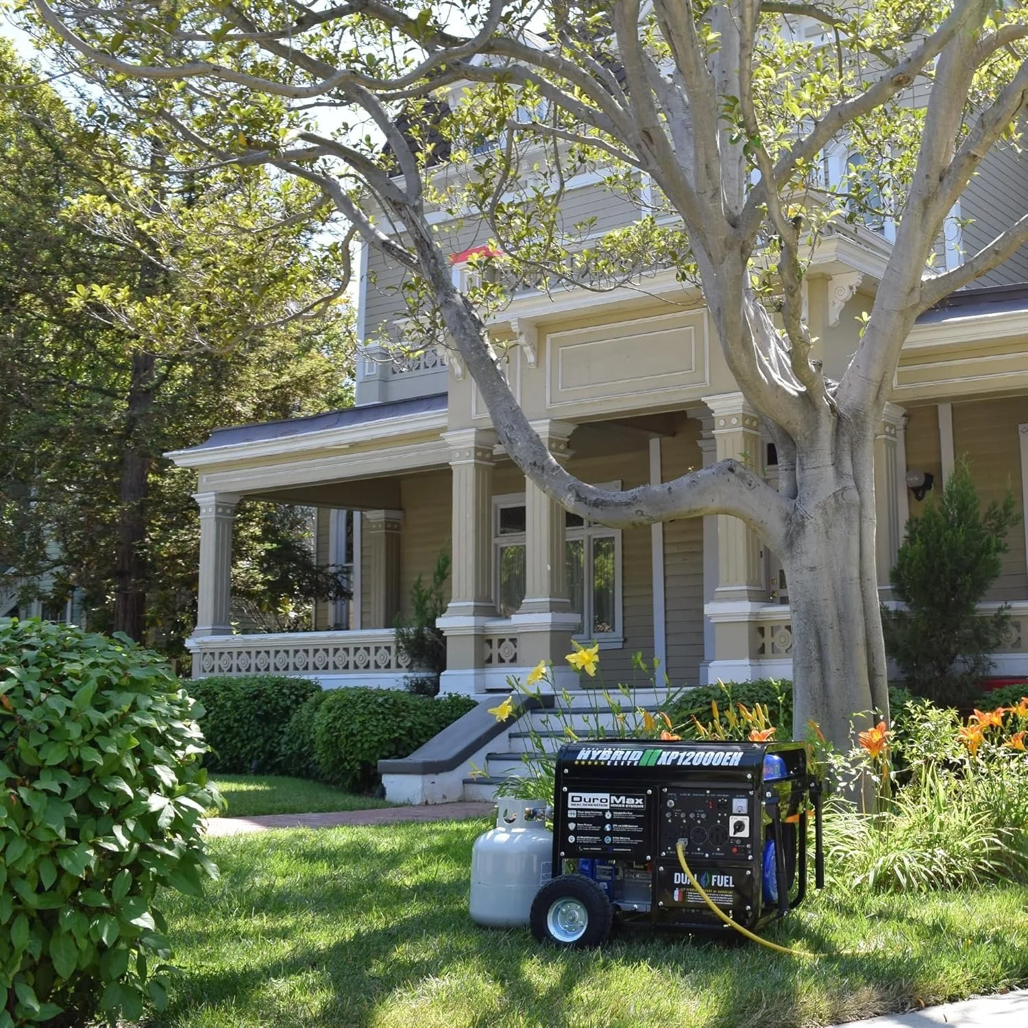 DuroMax XP12000EH 12,000 Watt Dual Fuel Portable Generators. 4 DuroMax XP12000EH 12,000 Watt Dual Fuel Portable Generators. - Image 4