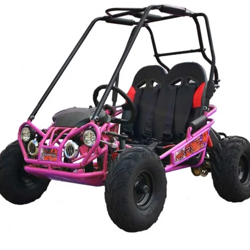 TrailMaster MINI XRX+ Go-Karts. 7 3 161 1 - stylecityinc