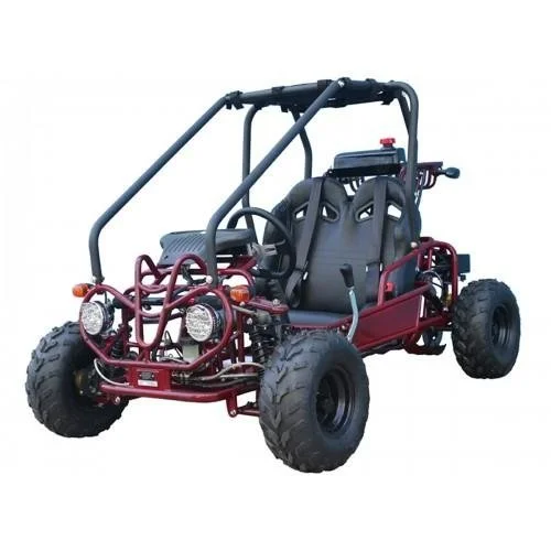 Taotao GK110 Kids Gas Go Kart Dune Buggys. 2 Taotao GK110 Kids Gas Go Kart Dune Buggys. - Image 2